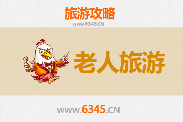 上海静安银发族漫游指南：悠闲文化与城市绿洲的完美融合